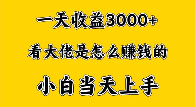 图片[1]-一天赚3000多，大佬是这样赚到钱的，小白当天上手，穷人翻身项目-大松资源网