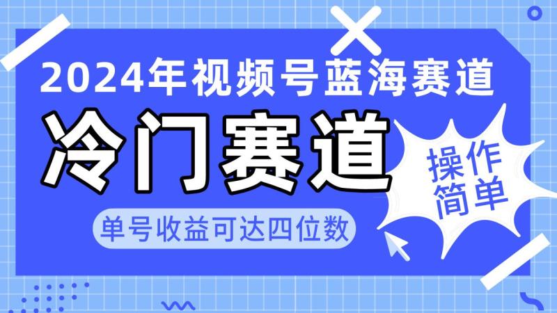 图片[1]-（10195期）2024视频号冷门蓝海赛道，操作简单 单号收益可达四位数（教程+素材+工具）-大松资源网