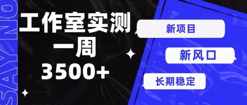 图片[1]-新项目新风口，单号操作7天收益3500+-大松资源网