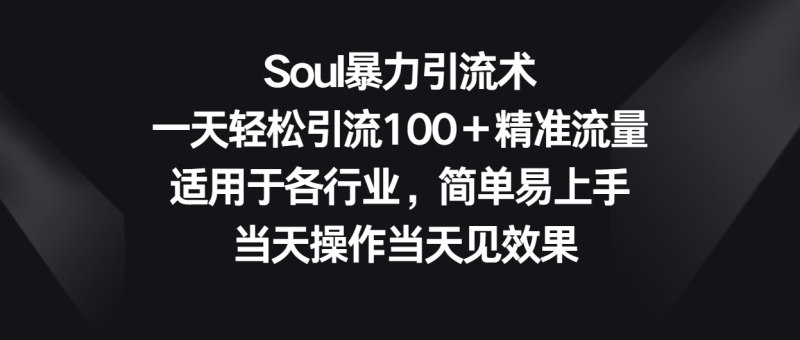 图片[1]-Soul暴力引流术，一天轻松引流100＋精准流量，适用于各行业，简单易上手！-大松资源网