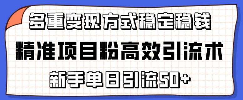 图片[1]-精准项目粉高效引流术，新手单日引流50+，多重变现方式稳定赚钱【揭秘】-大松资源网