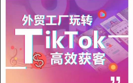 图片[1]-外贸工厂玩转TikTok高效获客，多种引流方式与账号定位技巧，拆解爆款短视频打造成功案例-大松资源网