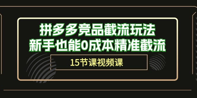 图片[1]-拼多多竞品截流玩法，新手也能0成本精准截流（15节课）-大松资源网