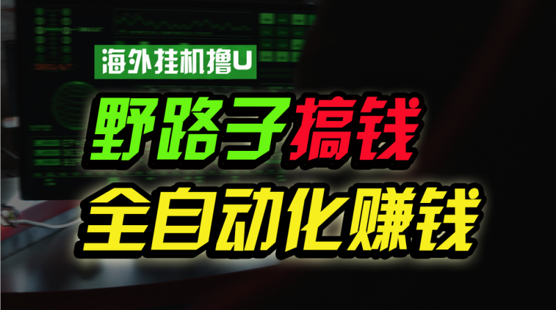 图片[1]-（1036期）海外挂机撸U新平台，日赚8-15美元，全程无人值守，可批量放大，工作室内…-大松资源网