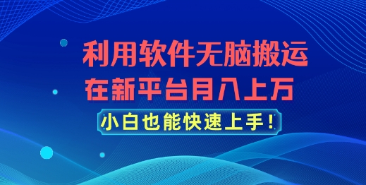 图片[1]-利用软件无脑搬运，在新平台月入上万，小白也能快速上手-大松资源网