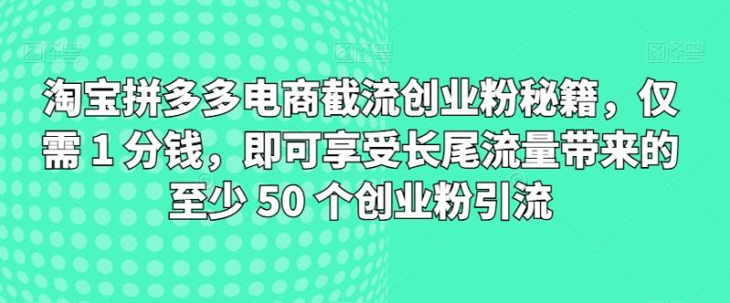 图片[1]-淘宝拼多多电商截流创业粉秘籍，仅需 1 分钱，即可享受长尾流量带来的至少 50 个创业粉引流-大松资源网