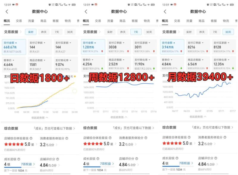 图片[3]-拼多多虚拟电商训练营月入40000+，全网最详细，你做你也行，暴利稳定长久-大松资源网