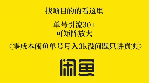 图片[1]-零成本闲鱼单号月入3k没问题只讲真实-大松资源网