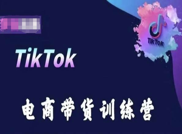 图片[1]-TikTok电商带货训练营，跟随时代潮流，跨境掘金-大松资源网