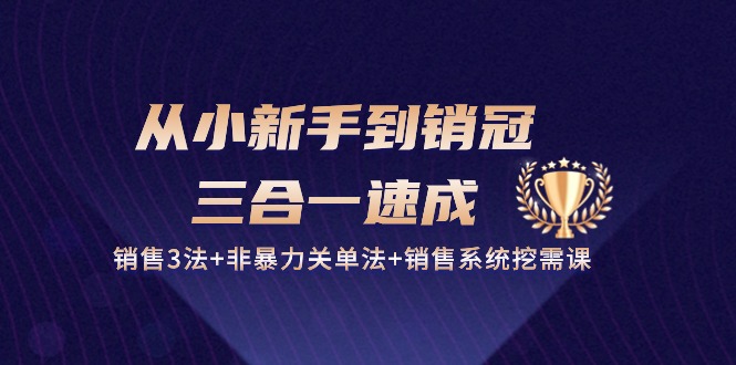 图片[1]-从小新手到销冠三合一速成：销售3法+非暴力关单法+销售系统挖需课 (27节)-大松资源网