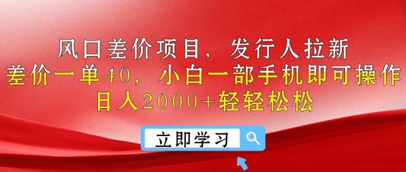 图片[1]-（10827期）风口差价项目，发行人拉新，差价一单40，小白一部手机即可操作，日入2000+轻轻松松-大松资源网