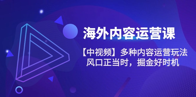 图片[1]-（10833期）海外内容 运营课【中视频】多种内容运营玩法 风口正当时 掘金好时机-101节-大松资源网