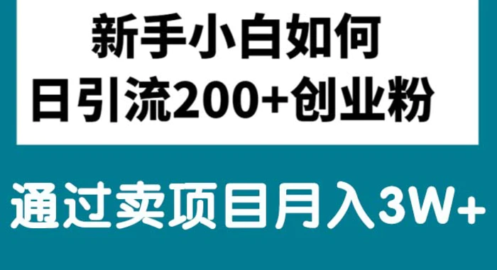 图片[1]-（10843期）新手小白日引流200+创业粉,通过卖项目月入3W+-大松资源网