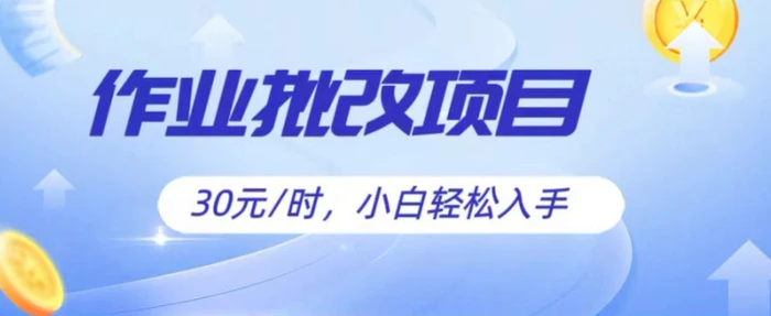 图片[1]-批改作业项目，30元时，简单容易上手，适合宝妈，大学生-大松资源网