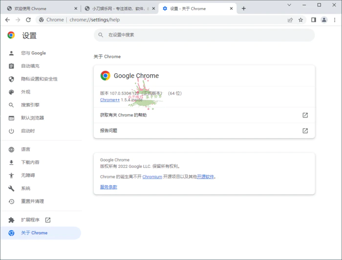 图片[1]-Google Chrome v125.0.6422.142增强版-大松资源网