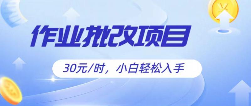 图片[1]-作业批改项目30元/时，简单小白轻松入手，非常适合兼职-蛙蛙资源网