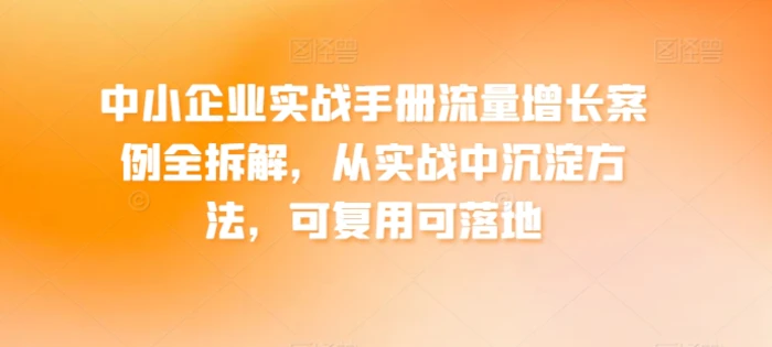 图片[1]-中小企业实战手册流量增长案例全拆解，从实战中沉淀方法，可复用可落地-大松资源网