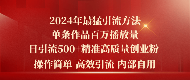 （10920期）2024年最猛暴力引流方法，单条作品百万播放 单日引流500+高质量精准创业粉-1