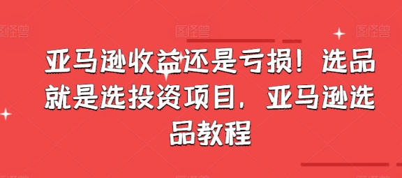 图片[1]-亚马逊收益还是亏损！选品就是选投资项目，亚马逊选品教程-大松资源网