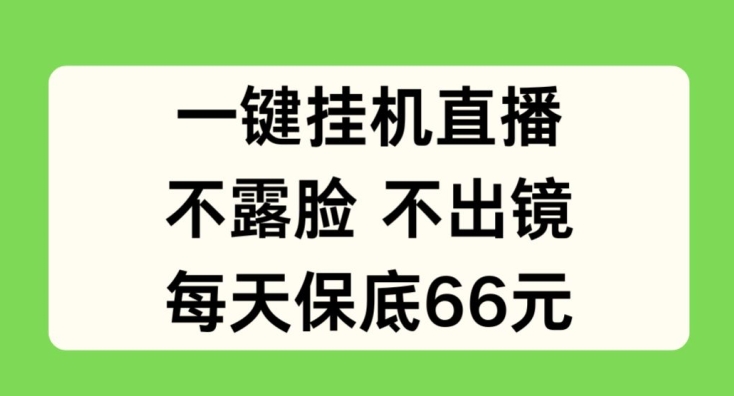 图片[1]-一键挂JI直播，不露脸不出境，每天保底66元-大松资源网