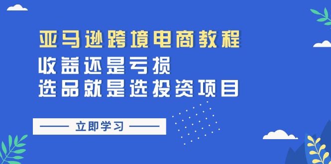 图片[1]-亚马逊跨境电商教程：收益还是亏损！选品就是选投资项目-大松资源网