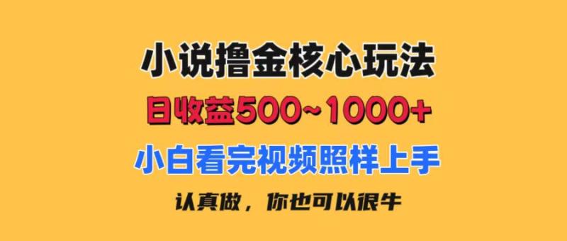 图片[1]-（11461期）小说撸金核心玩法，日收益500-1000+，小白看完照样上手，0成本有手就行-大松资源网