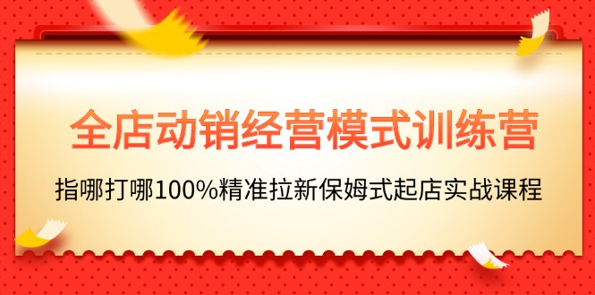 图片[1]-（11460期）全店动销-经营模式训练营，指哪打哪100%精准拉新保姆式起店实战课程-大松资源网