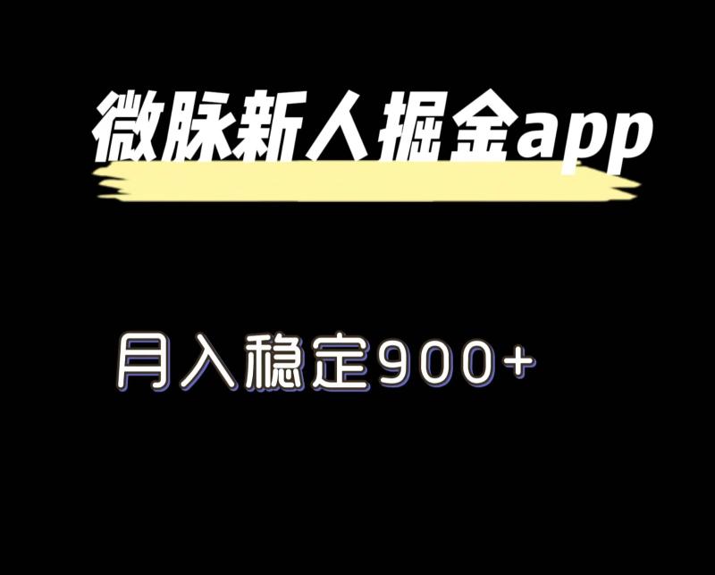 图片[1]-最新微脉长久项目，拉新掘金，月入稳定900+-大松资源网