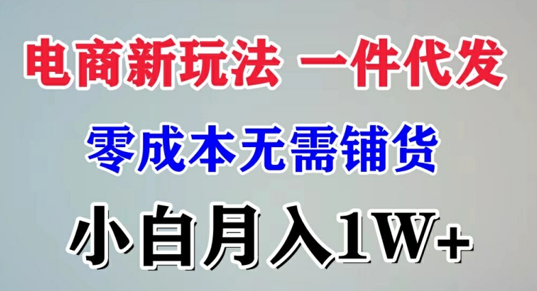 图片[1]-电商新玩法 一件代发,零成本无需铺货，小白月入1W+-大松资源网