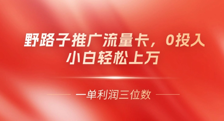 图片[1]-野路子推广流量卡，一单利润上百，0投入，小白轻松上万-大松资源网