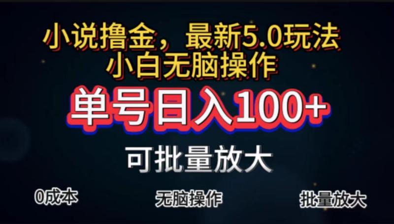 图片[1]-（11651期）全自动小说撸金，单号日入100+小白轻松上手，无脑操作-大松资源网