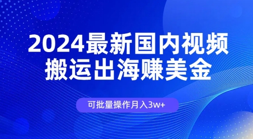 图片[1]-2024最新国内视频搬运出海赚美金，可批量操作月入3w-大松资源网