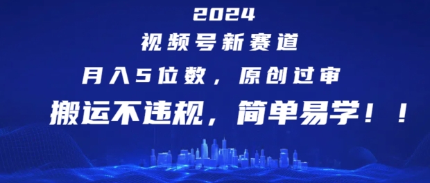 图片[1]-2024视频号新赛道，月入5位数+，原创过审，搬运不违规，简单易学-大松资源网