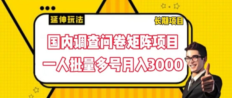 图片[1]-国内调查问卷矩阵项目，一人批量多号月入3000-大松资源网