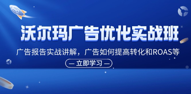 图片[1]-沃尔玛广告优化实战班，广告报告实战讲解，广告如何提高转化和ROAS等-大松资源网