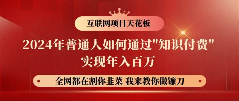 图片[1]-2024年普通人如何通过”知识付费”月入十万年入百万，实现财富自由-大松资源网