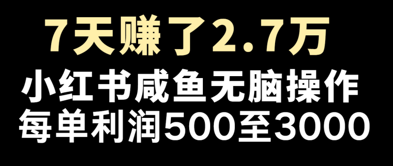 图片[1]-七天赚了2.7万！每单利润最少500+，轻松月入5万+小白有手就行-大松资源网