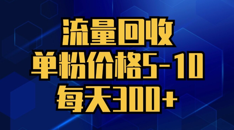 图片[1]-流量回收，单粉价格5-10，每天300+，轻松月入五位数-大松资源网