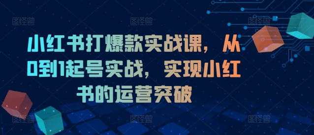 图片[1]-小红书打爆款实战课，从0到1起号实战，实现小红书的运营突破-大松资源网