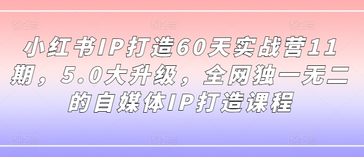 图片[1]-小红书IP打造60天实战营11期，5.0大升级，全网独一无二的自媒体IP打造课程-大松资源网