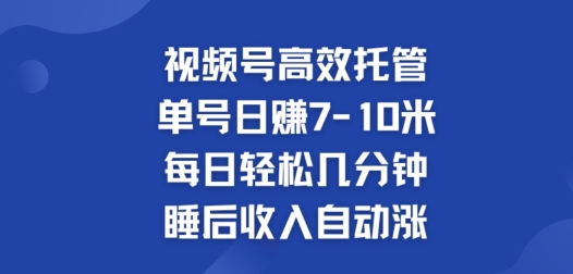 图片[1]-视频号高效托管，单号日赚7-10米，每日轻松几分钟，睡后收入自动涨-大松资源网