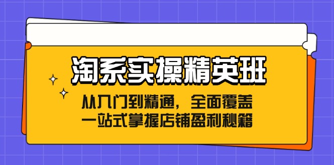 图片[1]-淘系实操精英班：从入门到精通，全面覆盖，一站式掌握店铺盈利秘籍-大松资源网