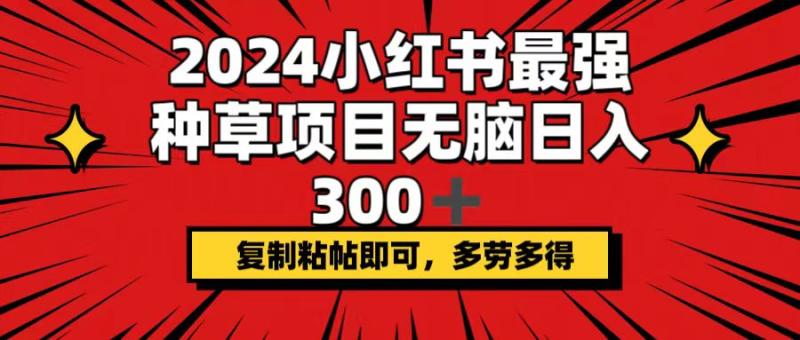 图片[1]-（12336期）2024小红书最强种草项目，无脑日入300+，复制粘帖即可，多劳多得-大松资源网