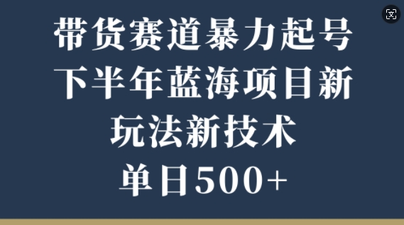 图片[1]-带货赛道暴力起号，下半年蓝海项目，新玩法新技术，单日500+-大松资源网