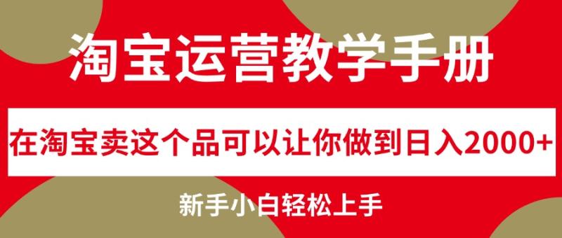 图片[1]-（12351期）淘宝运营教学手册，在淘宝卖这个品可以让你做到日入2000+，新手小白轻…-大松资源网