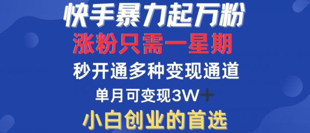 图片[1]-快手暴力起万粉，涨粉只需一星期，多种变现模式，直接秒开万合，单月变现过W-大松资源网