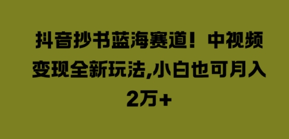 图片[1]-抖音抄书蓝海赛道，中视频变现全新玩法，小白也可月入2W+-大松资源网