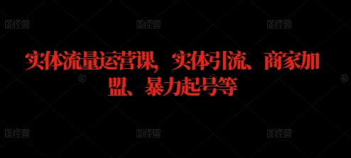 图片[1]-实体流量运营课，实体引流、商家加盟、暴力起号等-大松资源网