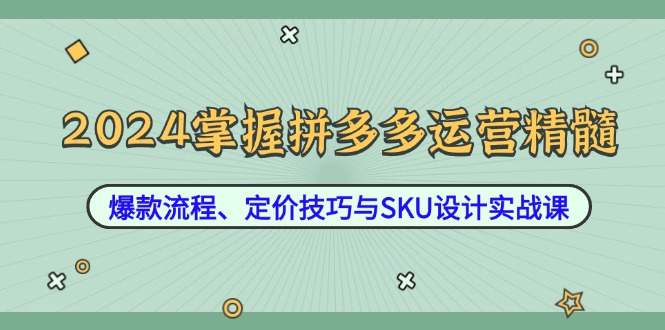 图片[1]-2024掌握拼多多运营精髓：爆款流程、定价技巧与SKU设计实战课-大松资源网