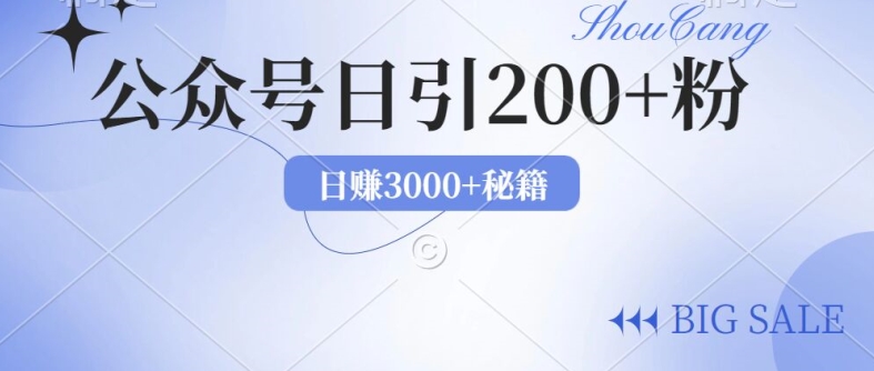 图片[1]-2024年用AI洗稿公众号日引流200+创业粉-大松资源网